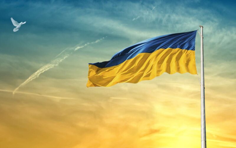bandiera ucraina al vento