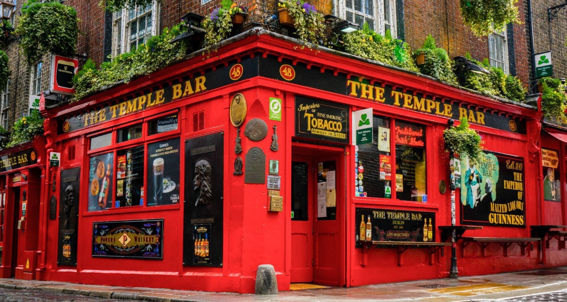 Temple bar Radici Irlanda